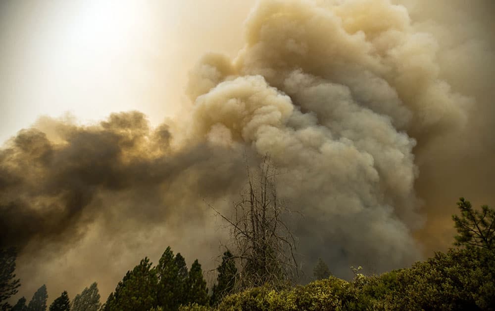 Firefighters local to Calaveras County fight the head of the fire and build containment lines near Sheep's Ranch in Sheep's Ranch, Calif. 