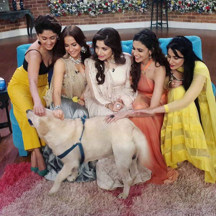 Elli Avram :- All girls be like aaaaw ❤ So cute!!!! Reminded me of Heaven in BigBoss.... #Kiskiskopyaarkaroon #CNWK… -instagram
