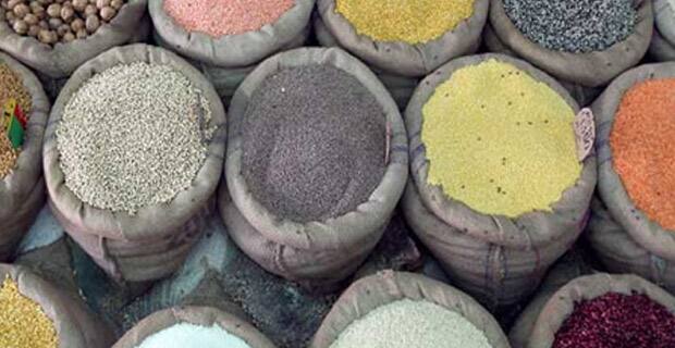 Govt to import additional 5,000 tons of pulses to control prices