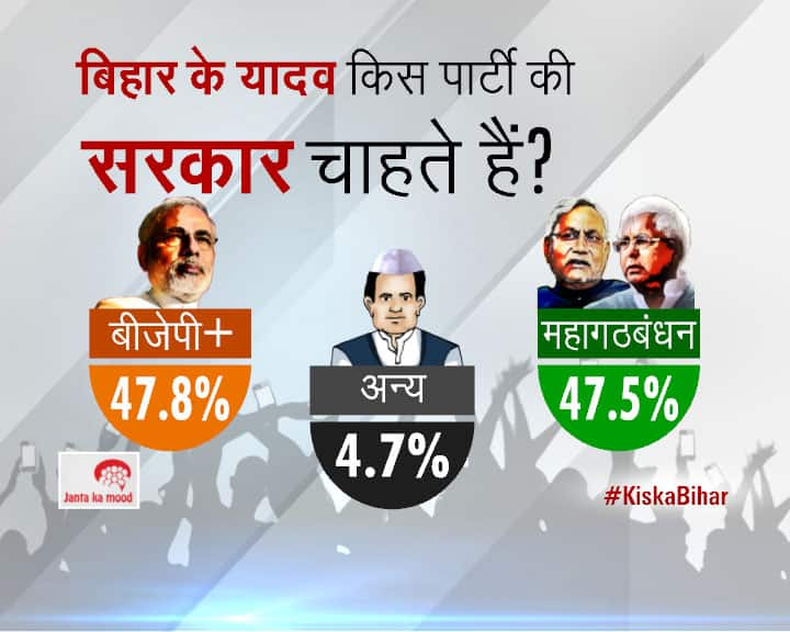 2015 Bihar Assembly Elections Survey