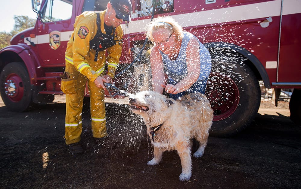 Jesse, the dog, cools off with help from Cal Fire Santa Clara firefighter Tim Quickel and owner Claudia Uyeno near Middletown, Calif.