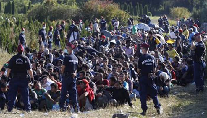 EU urged to secure borders from &#039;millions&#039; of migrants
