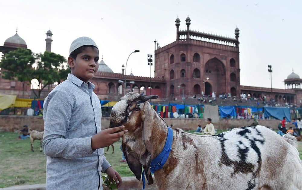 Goats on sale at a market near Jama Masjid ahead of the festival of Eid al-Adha in New Delhi.