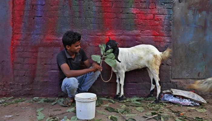 Muslims should sacrifice their sons instead of animals on Eid: BJP leader