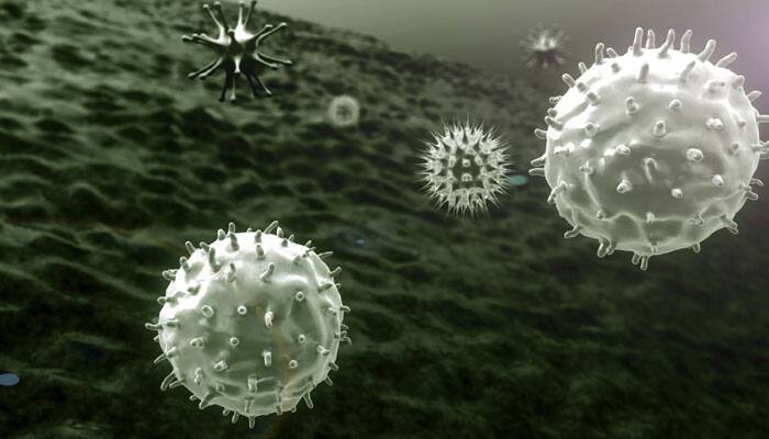 Viruses are actually living entities