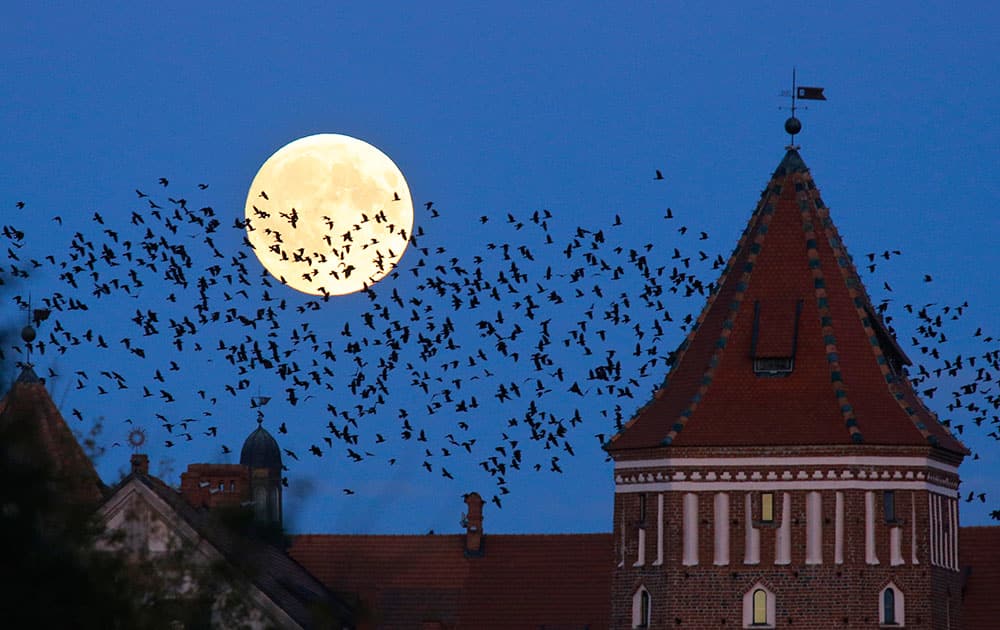 A flock of birds fly by as perigee moon, also known as a super moon, rises above a medieval castle in Mir, Belarus.