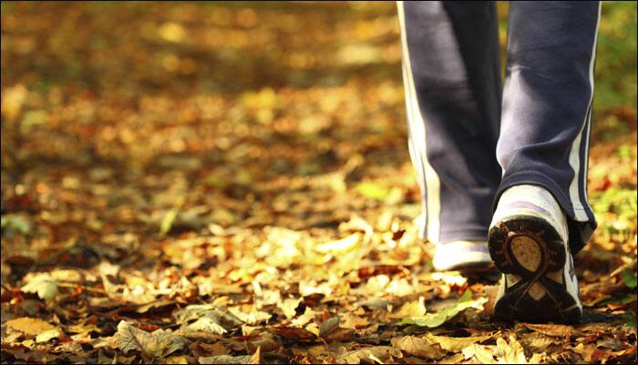 Regular exercise is very important as it reduces the risk of breast cancer. Studies have shown that as little as 75 to 150 minutes of brisk walking each week can lower the risk.
