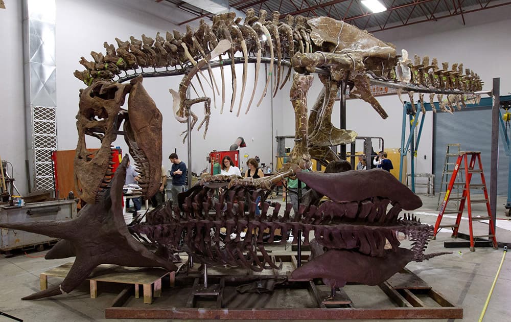 Pauline Dolovich, from Reich+Petch Design International and Siobhan Starrs, center right, from the Smithsonian work on the fossil at Research Casting International in Trenton, Ontario, Canada.