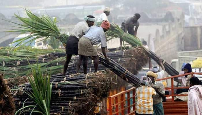 Banks given 15 days to disburse soft loan to sugar mills