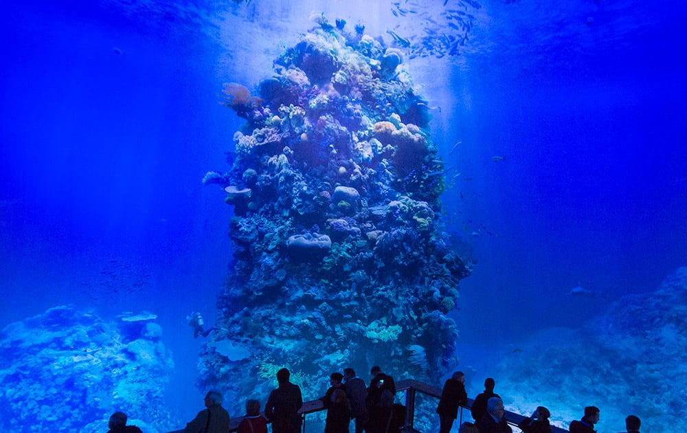 Visitors stand in front of the monumental panoramic artwork 'Great Barrier Reef', which is printed on cloth widths, of artist Yadegar Asisi during a press preview at the Asisi Panometer in Leipzig, central Germany.