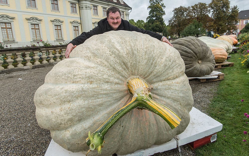 Robert Jaser poses with his Atlantic Giant pumpkin at the palace in Ludwigsburg, Germany.