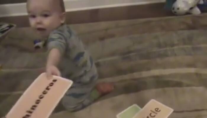 This 16-month-old toddler can recognise many English words! - Watch video