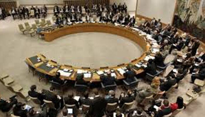 Ukraine, Japan face tense diplomacy as UN Council newcomers