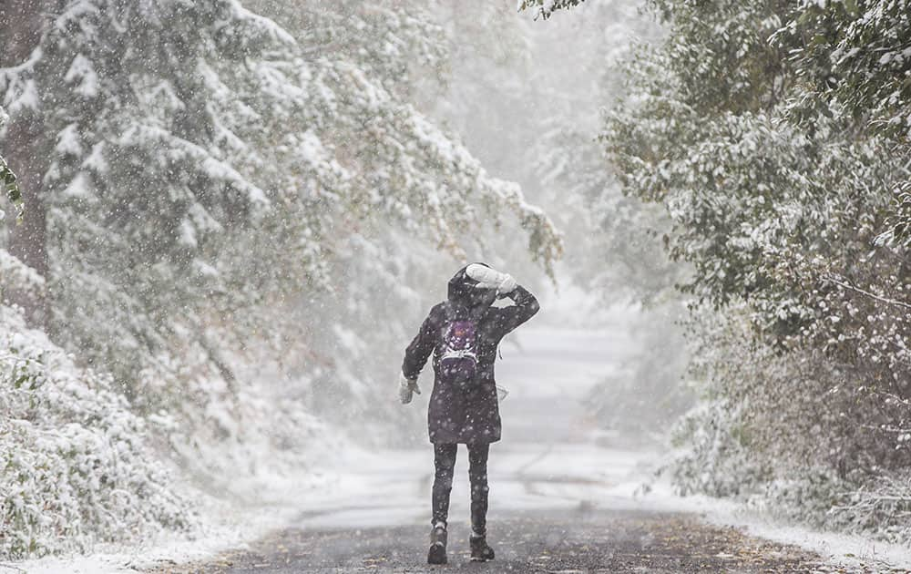 Snow falls as a hiker walks through the wintry forest on Grosser Feldberg peak in the Taunus mountains near Frankfurt, central Germany.