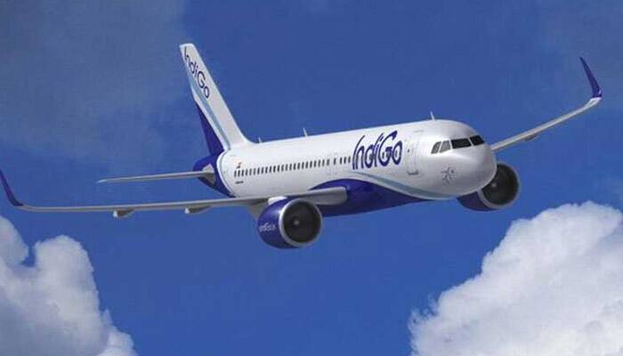 IPO-bound profitable IndiGo has negative net worth