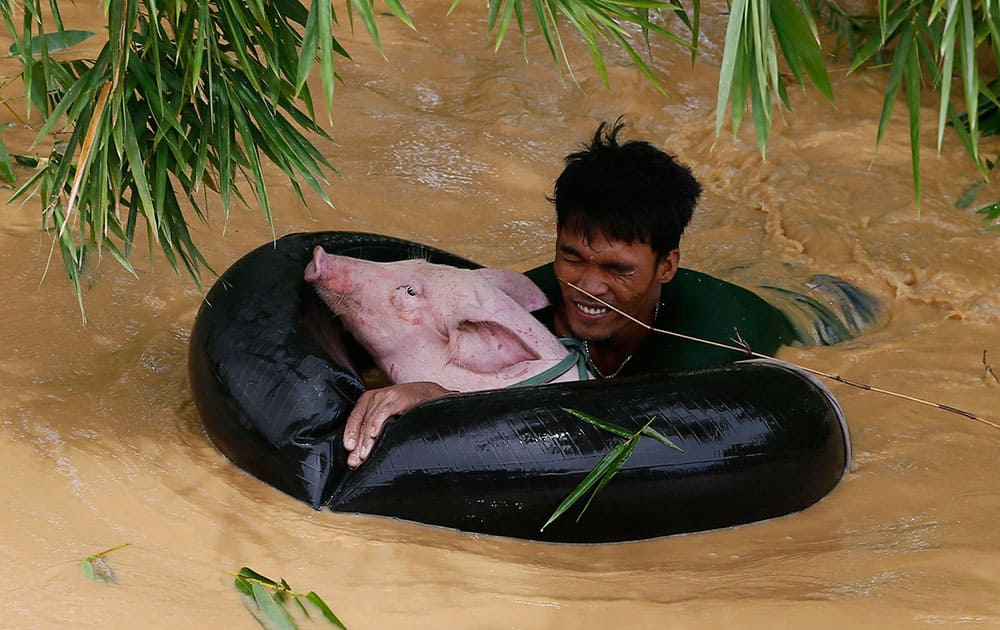A resident uses an inflated tire interior to bring a pig to safety amidst raging floodwaters brought about by Typhoon Koppu at Zaragosa township, Nueva Ecija province, north of Manila, Philippines.