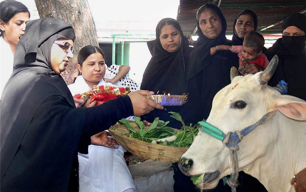 Members of Muslim Mahila Foundation (MMF) feeding a cow and appeals for cow conservation in Varanasi.