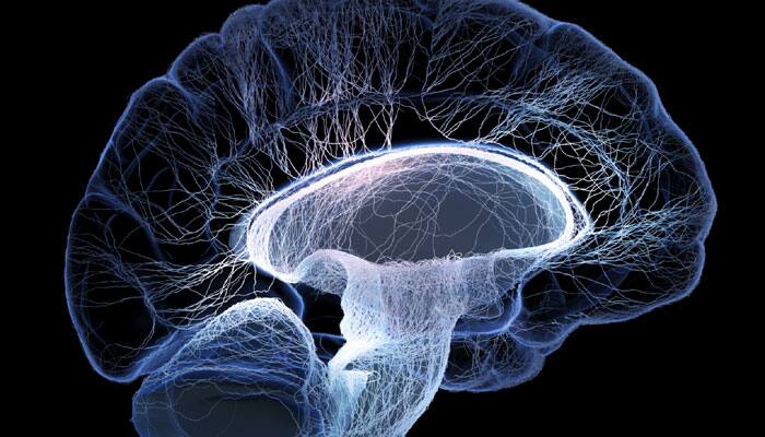 Mathematical method shows structure in brain neural activity