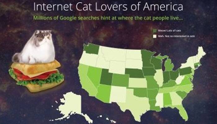 Imgur announces top 15 most viral cats in 2015