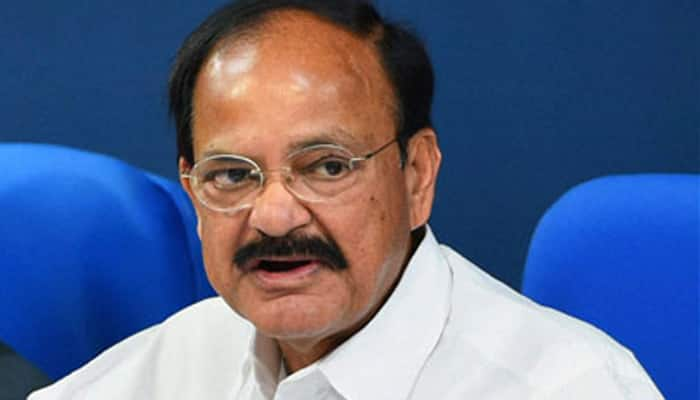 &#039;Iron man&#039; Sardar Patel should have been nation&#039;s first PM: Naidu