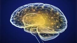 'Understanding the brain can bring global recognition for India'