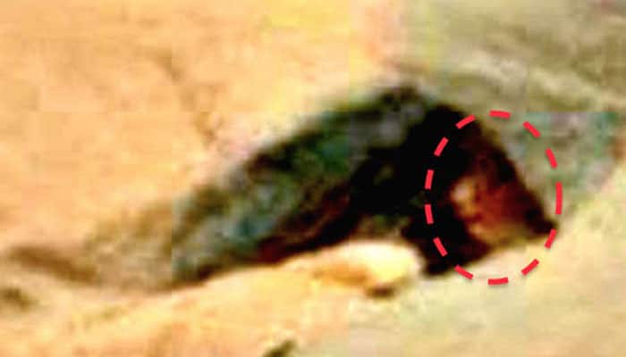 An alien or a statue: Has NASA finally unearthed evidence of life on Mars?