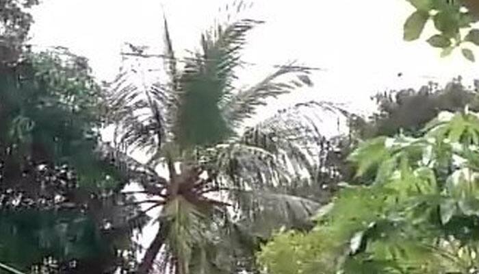 Respite in rain in TN, Puducherry after deep depression makes landfall