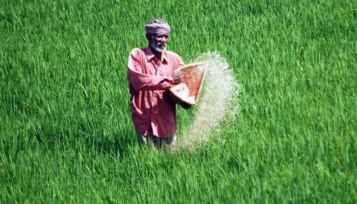 Fertilizer Ministry seeks more than Rs 25,000 crore for urea subsidy bills