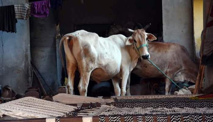 &#039;Most beef traders in India are Hindus&#039;