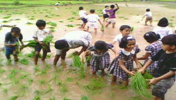 Government says wheat sowing to pick up soon, no cause of concern