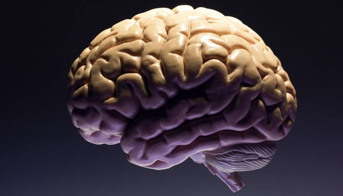 Bizarre: Man steals human brains and sells them on eBay!