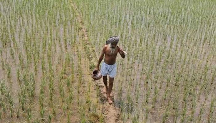 Agri sector attracts $1,764 million FDI in 2000-15