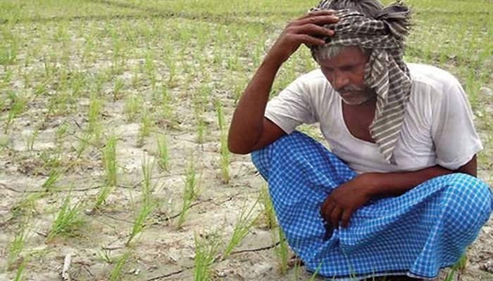 Odisha drought situation gloomy, says central team