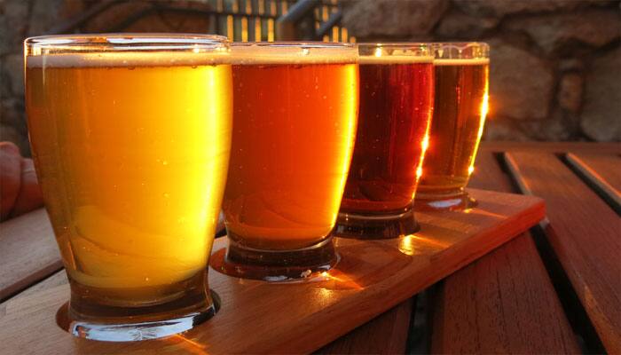Novel yeast may inspire new beer flavour
