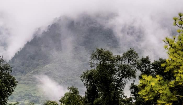 International Mountain Day: Five degree mercury rise in Hindu Kush by 2050, warn experts