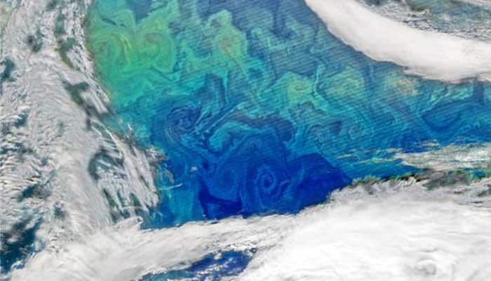 See pic: NASA&#039;s image of the day - Phytoplankton bloom in the North Atlantic