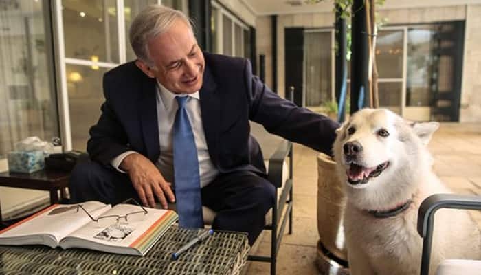 Israeli PM Benjamin Netanyahu&#039;s dog jailed for biting guests 
