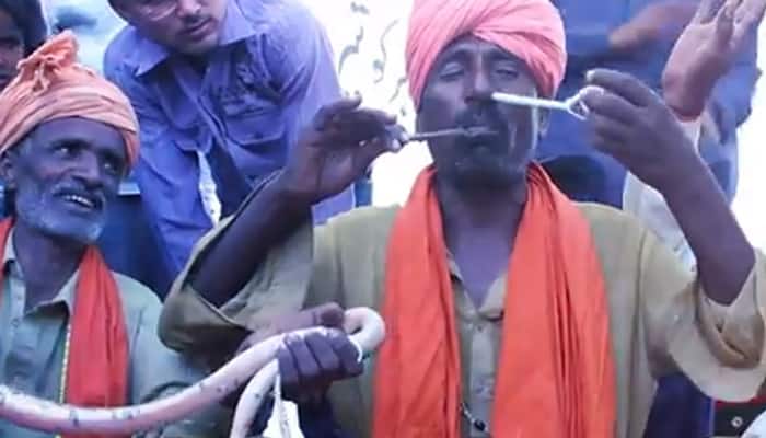  WATCH: This snake charmer puts live snake through his nose, takes it out from mouth