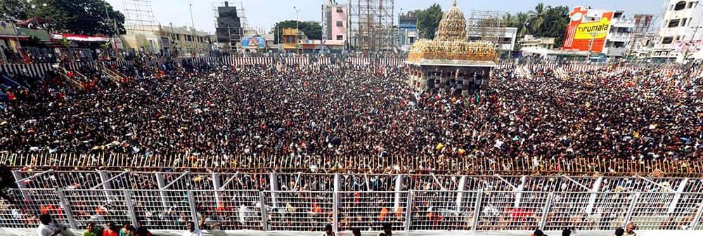 Devotees from across the country take holy dip in the sacred tank of Goddess Sri Padmavathi known as Sri Alamelu Mangai in Tiruchanur in Tirupati to celebrate the Panchamitheertham on the concluding day of Kartika Brahmotsavam.
