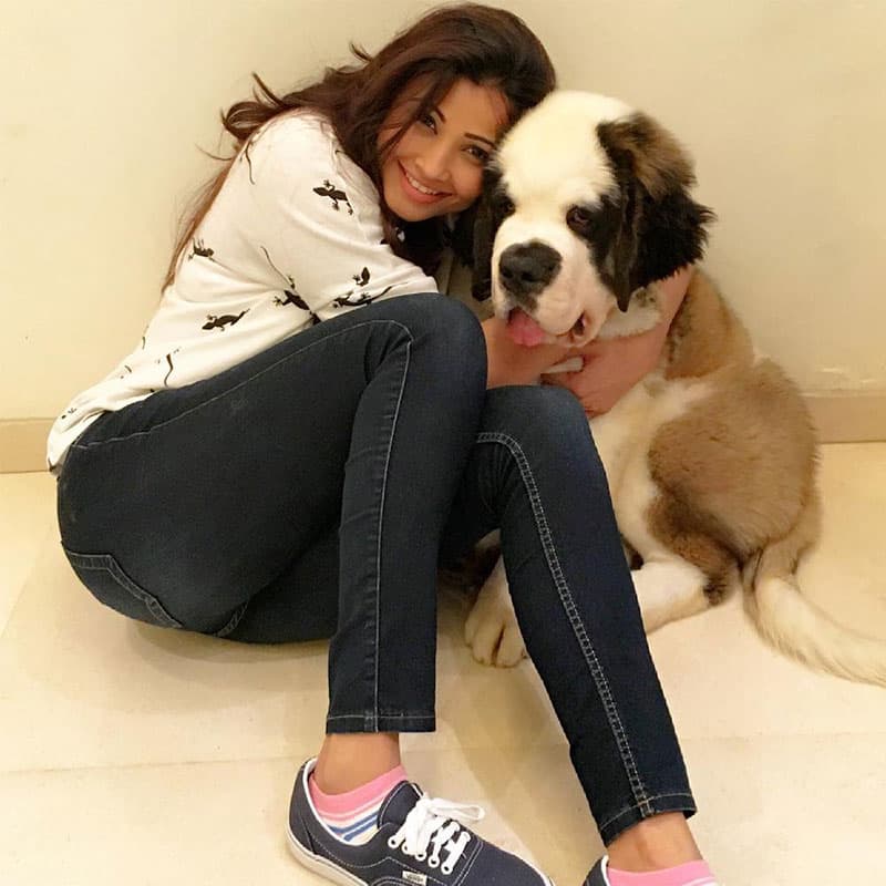 Daisy Shah :- #makingfriendswiththiscutie -instagram