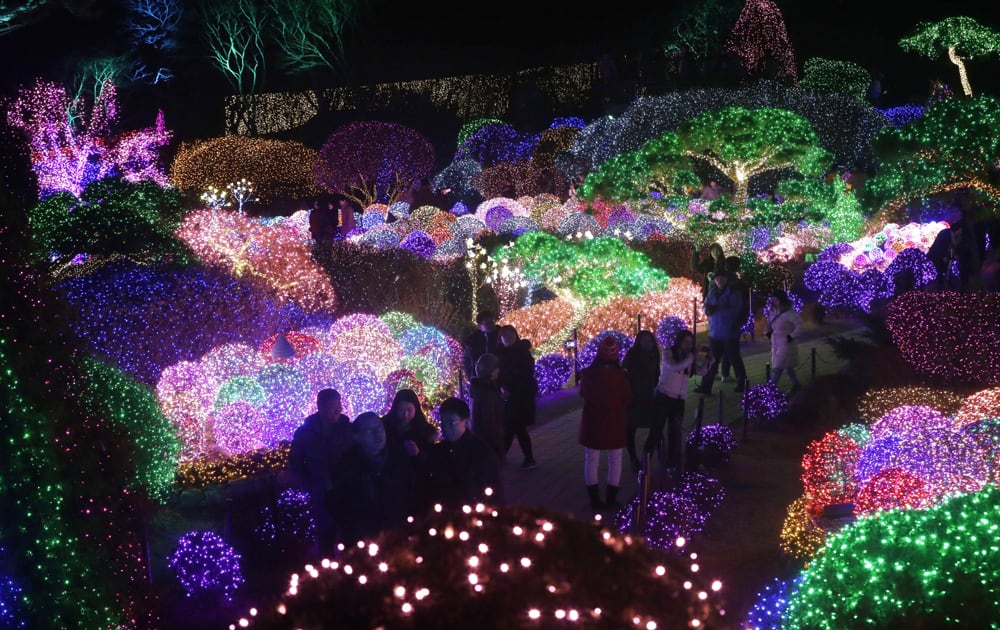 VISITORS ARE SILHOUETTED AGAINST ILLUMINATED TREES TO CELEBRATE THE UPCOMING CHRISTMAS AND NEW YEAR AT GARDEN OF MORNING CALM IN GAPYEONG, SOUTH KOREA.
