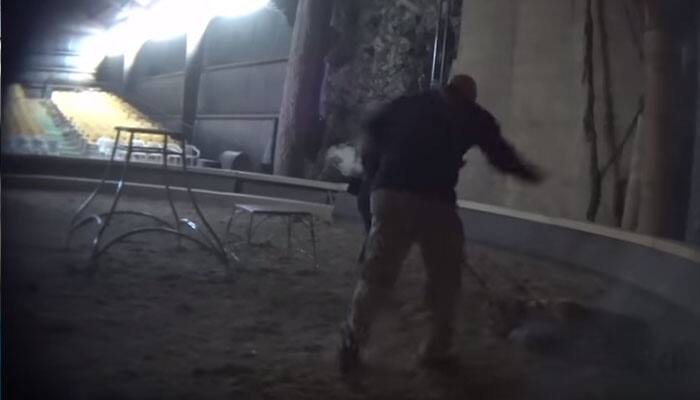 Horrifying VIDEO: &#039;Life of Pi&#039; animal trainer caught on camera brutally whipping tiger