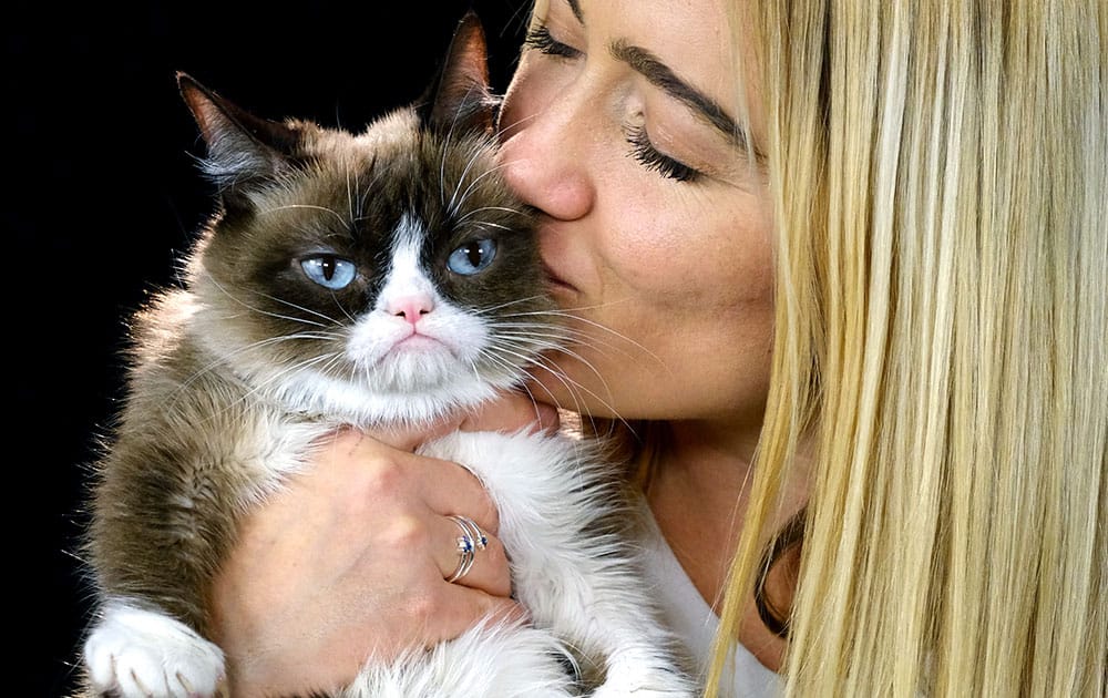 Grumpy Cat with her owner Tabitha Bundesen during an interview at the Associated Press in Los Angeles. Animals can melt the human heart, tickle the funny bone or bring us to tears. 