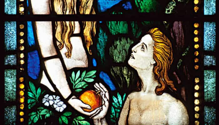 &#039;God created Eve with a bone taken from Adam&#039;s penis&#039;