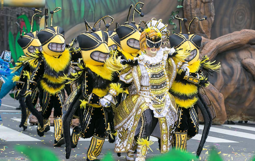 The Quaker City String Band performs 'The Perfect Swarm' led by Captain Jim Good during the 116th annual Mummers Parade in Philadelphia.