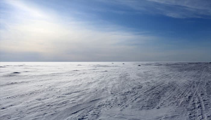 Moonlight drives marine creatures in Arctic winter