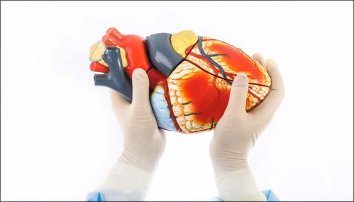 3D printed human organ models to get cheaper