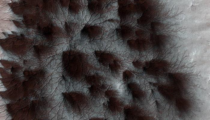 &#039;Spiders&#039; spotted on Mars?