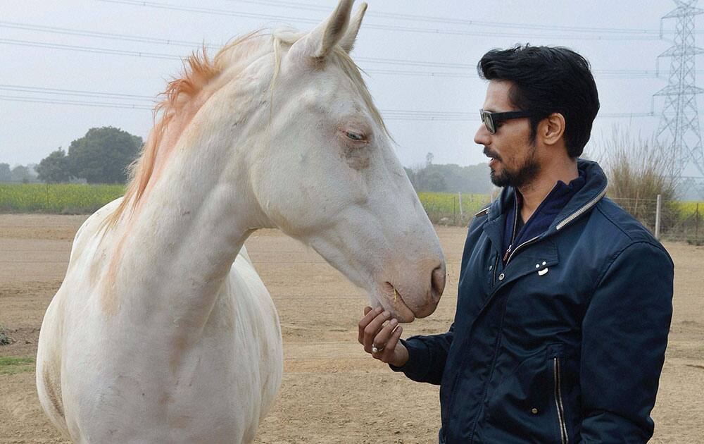 Bollywood actor Randeep Hooda showing his love for a sick horse in Gurgaon.