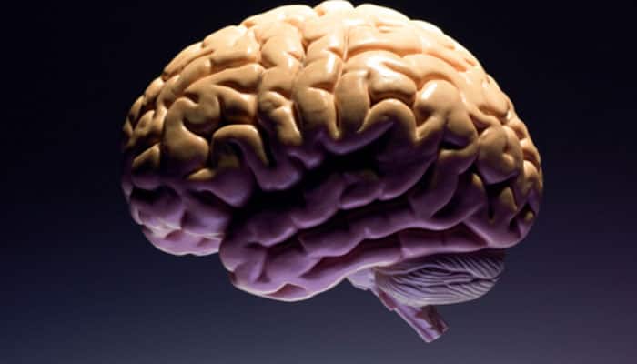 Take a quiz: Which is your dominant brain side?